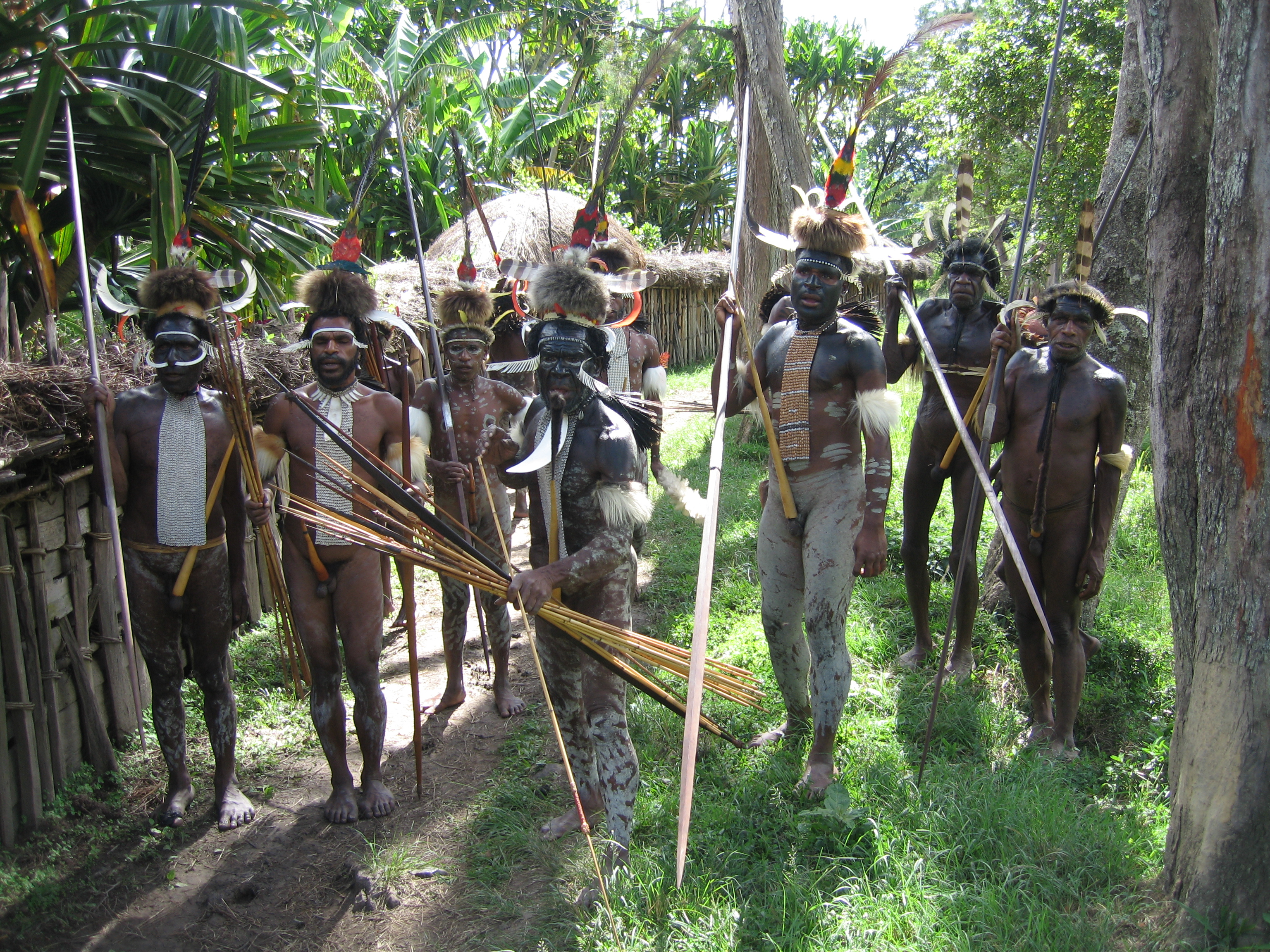 Племя гвинея. Папуасы новой Гвинеи. Дикие племена новой Гвинеи. Новая Гвинея Дикие племена Папуасы. Дикие племена но вой гленеви.