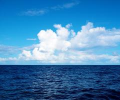 Kura jūra ir tīrākā pasaulē?