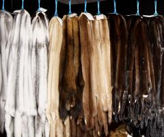 Top 10 most expensive furs in the world