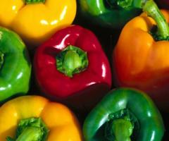 10 hottest peppers in the world